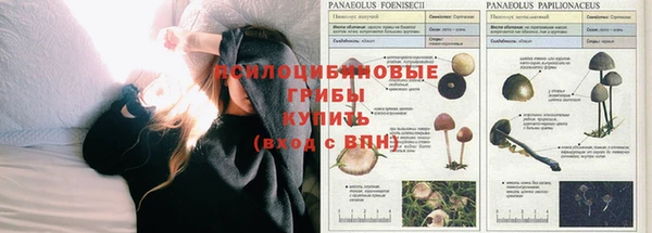 дурь Зерноград