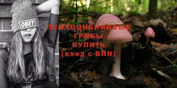 ECSTASY Заволжск