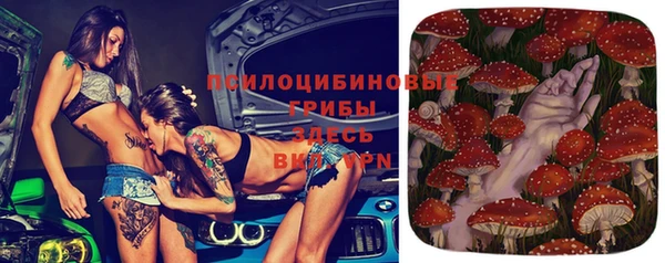 ECSTASY Заволжск