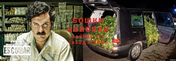 молекула духа Заводоуковск