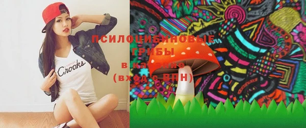 шишки Зеленокумск