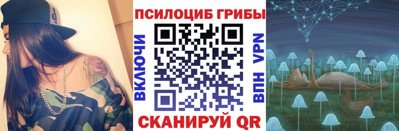 Галлюциногенные грибы GOLDEN TEACHER  Купить  Дальнереченск 